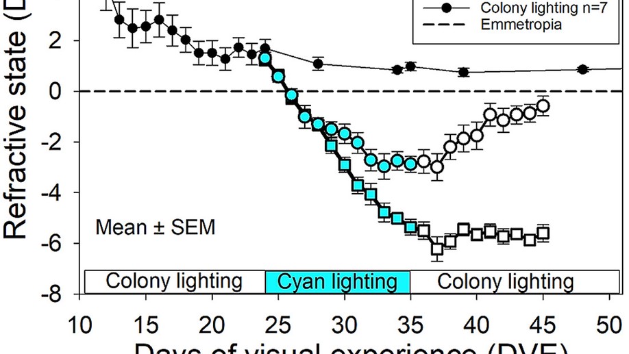 Tree shrews do not maintain emmetropia in initially-focused narrow-band cyan light